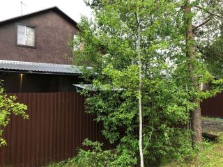 Продается дача косметический ремонт в садовом некоммерческом товариществе есть баня фото 37 Трубников Бор