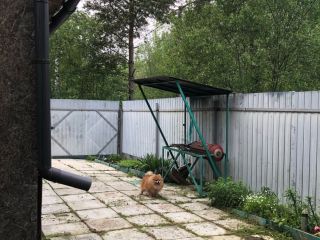 Продается дача косметический ремонт в садовом некоммерческом товариществе есть баня фото 38 Трубников Бор