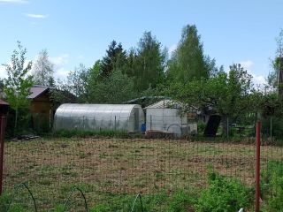 Продается зем участок в садовом некоммерческом товариществе фото 3 Трубников Бор