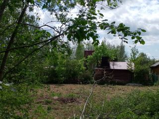 Продается зем участок в садовом некоммерческом товариществе фото 4 Трубников Бор