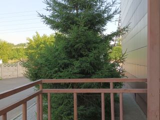 Продается студия косметический ремонт взрослый собственник фото 2 Красноярск