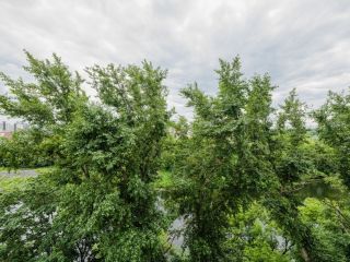 Продаю студию с индивидуальным отоплением отличный ремонт панорамные окна имеется охрана фото 18 Москва