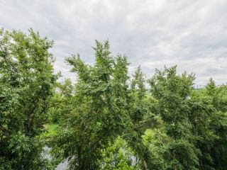 Продаю студию с индивидуальным отоплением отличный ремонт панорамные окна имеется охрана фото 19 Москва