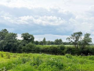 Земельный участок 12 соток ЛПХ в деревне Кочериново фото 2 Старая Русса