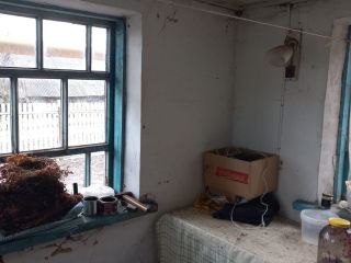 Продается кирпичный дом подключена канализация под личное подсобное хозяйство фото 8 Богородицк