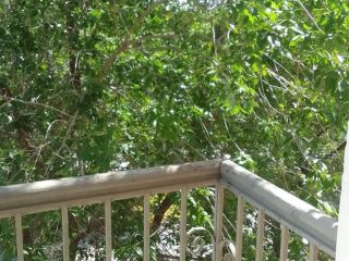 Продается 1 комнатная квартира косметический ремонт фото 6 Волгоград