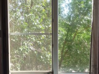 Продается 1 комнатная квартира косметический ремонт фото 8 Волгоград