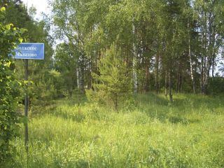 Продается деревянный дом необходима реконструкция документы готовы фото 3 Деревня Волжское-Малахово