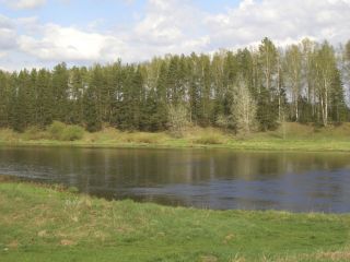 Продается деревянный дом необходима реконструкция документы готовы фото 9 Деревня Волжское-Малахово