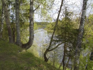 Продается деревянный дом необходима реконструкция документы готовы фото 11 Деревня Волжское-Малахово