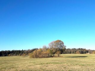 Продаю зем участок асфальтная дорога в садовом некоммерческом товариществе фото 8 Д. Горки, Лопухинское сельское поселение