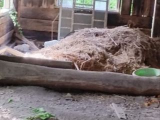 Продам участок земли документы в полном порядке фото 3 Поселок Горбачёво