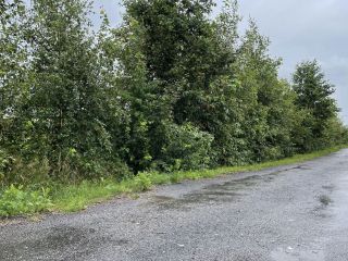 Продаю участок земли своя скважина красивый фото 6 Санкт-Петербург