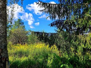 Продаю дачу косметический ремонт круглогодичный подъезд не торгуюсь фото 2 Псков