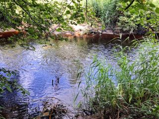 Продаю дачу косметический ремонт круглогодичный подъезд не торгуюсь фото 4 Псков