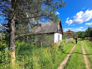 Продаю дачу косметический ремонт круглогодичный подъезд не торгуюсь фото 6 Псков