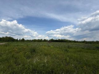 Продаю участок земли документы готовы фото 4 Рязанки