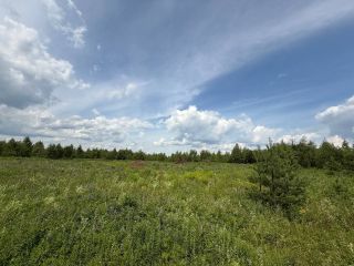 Продам зем участок есть документы фото 3 Рязанки