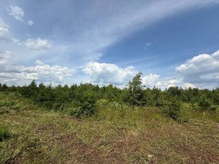 Продам зем участок есть документы фото 4 Рязанки