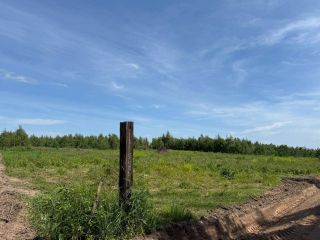 Продам зем участок есть документы фото 6 Рязанки