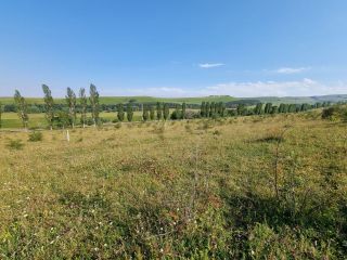 Продаю земельный участок под индивидуальное жилищное строительство фото 3 Кисловодск