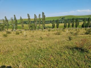 Продаю земельный участок под индивидуальное жилищное строительство фото 4 Кисловодск