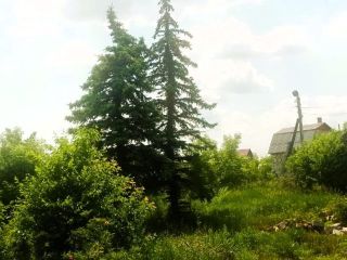 Продам кирпичный дом в садовом некоммерческом товариществе установлены пластиковые окна фото 30 Магнитогорск