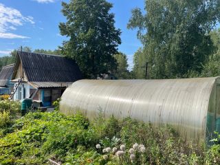Продается дача нуждается в косметическом ремонте есть теплица фото 10 Бердск