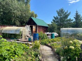 Продается дача нуждается в косметическом ремонте есть теплица фото 12 Бердск