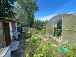 Продается дача нуждается в косметическом ремонте есть теплица фото 8 Бердск