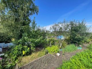 Продается дача нуждается в косметическом ремонте есть теплица фото 7 Бердск