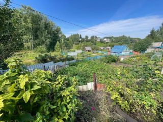 Продается дача нуждается в косметическом ремонте есть теплица фото 6 Бердск