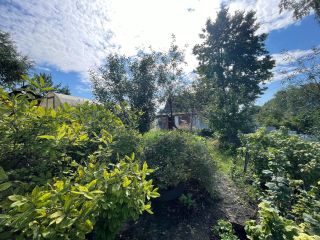 Продается дача нуждается в косметическом ремонте есть теплица фото 25 Бердск