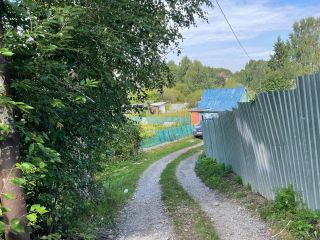 Продается дача нуждается в косметическом ремонте есть теплица фото 26 Бердск