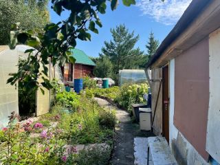 Продается дача нуждается в косметическом ремонте есть теплица фото 3 Бердск