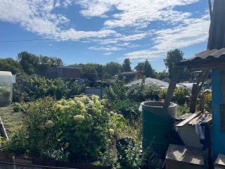 Продается дача нуждается в косметическом ремонте есть теплица фото 2 Бердск