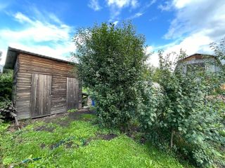 Продаю дачу документы готовы асфальтная дорога фото 3 Бердск