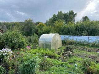 Продаю дачу документы готовы асфальтная дорога фото 5 Бердск