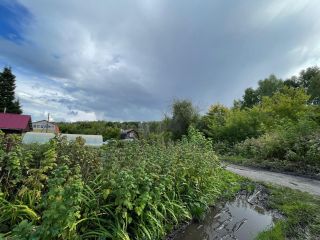 Продаю дачу документы готовы асфальтная дорога фото 19 Бердск