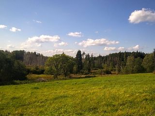 Продается деревянный дом черновая отделка без торга фото 4 Печоры