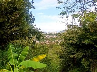 Продается студия с индивидуальным отоплением отличный ремонт фото 11 Сочи