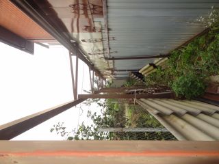 Продаю кирпичный дом с плодоносящим садом в центре города фото 8 Орёл