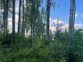 Продаю участок земли видеонаблюдение рядом асфальт фото 9 Санкт-Петербург