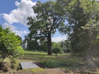 Продаю кирпичный коттедж ремонт по авторскому проекту своя скважина фото 24 Лопатино