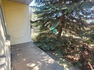 Продаю кирпичный дом фото 8 Приморка