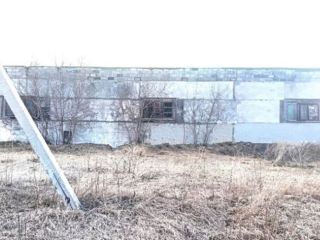 Продается производство необходим косметический ремонт фото 16 Азовский немецкий национальный р-н