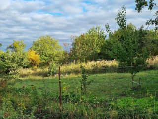 Продам зем участок рядом лес фото Ставрополь