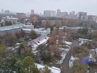 Продаю двухкомнатную квартиру отличный ремонт взрослый собственник свежий ремонт фото 14 Новосибирск