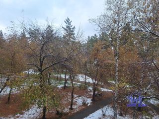 Продам двухкомнатную квартиру установлены пластиковые окна взрослый собственник фото 8 Новосибирск