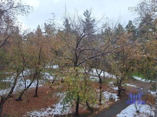 Продам двухкомнатную квартиру установлены пластиковые окна взрослый собственник фото 9 Новосибирск